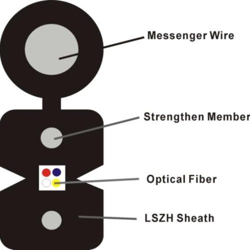 Figure8_FTTH